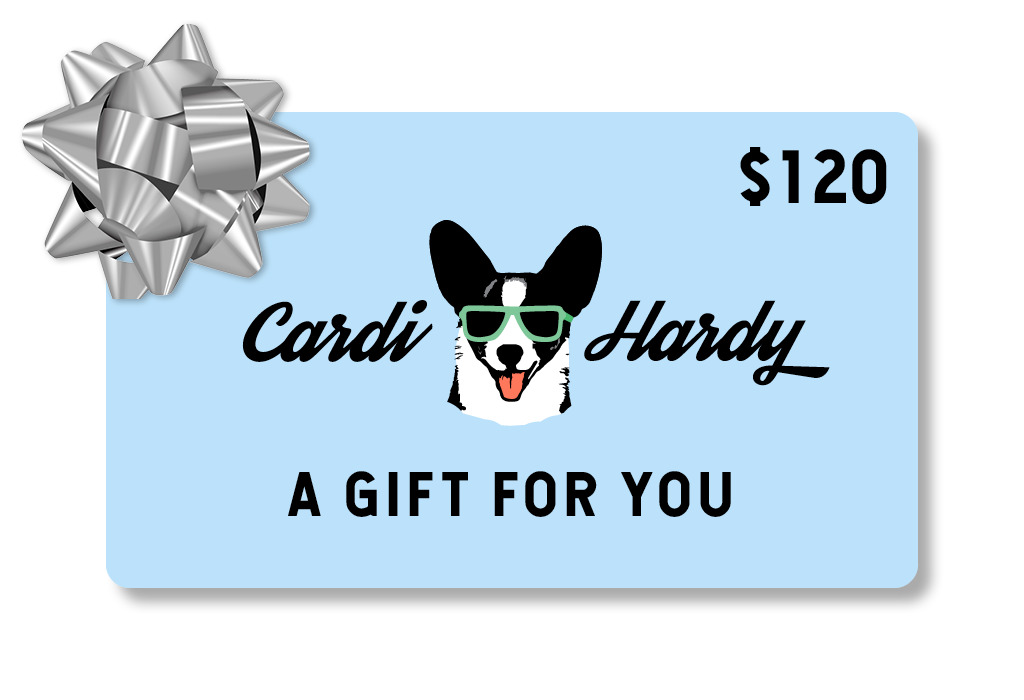 Cardi Hardy gift card - value is 120 dollars